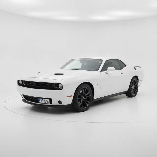 Dodge Challenger Dodge Challenger 3.6 V6 TorqueFlite / 4 Brukare